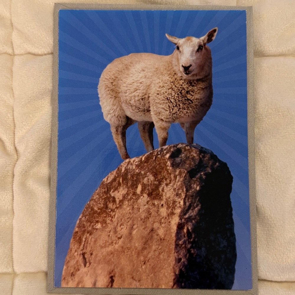 🌻 Shoebox by Hallmark Punny Sheep Birthday Cards Bundle - Picture 5 of 7